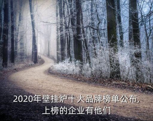 2020年壁掛爐十大品牌榜單公布,上榜的企業有他們
