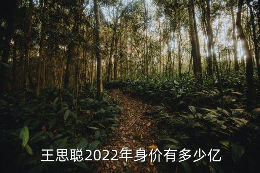 王思聰的電競公司