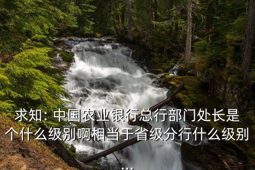 中國農業銀行辦公室