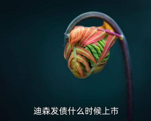  迪森發債什么時候上市