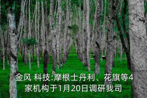  金風 科技:摩根士丹利、花旗等4家機構于1月20日調研我司