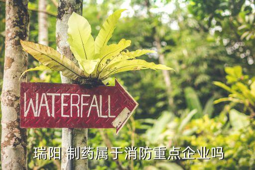  瑞陽 制藥屬于消防重點企業嗎