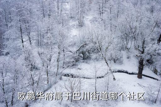  歐鵬華府屬于巴川街道哪個社區