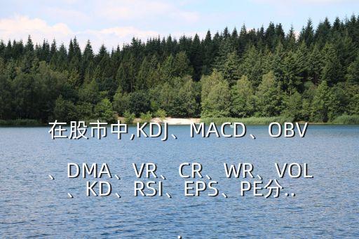 在股市中,KDJ、MACD、OBV、DMA、VR、CR、WR、VOL、KD、RSI、EPS、PE分...