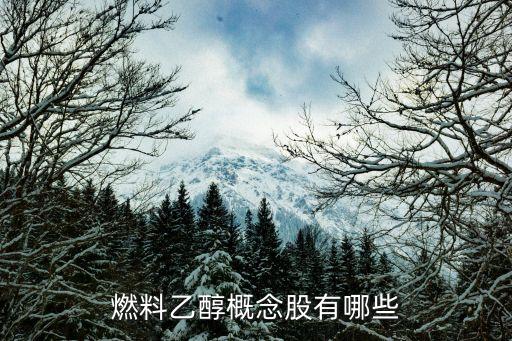 迪森股份有限公司股東,威海美迪森醫療器械股份有限公司