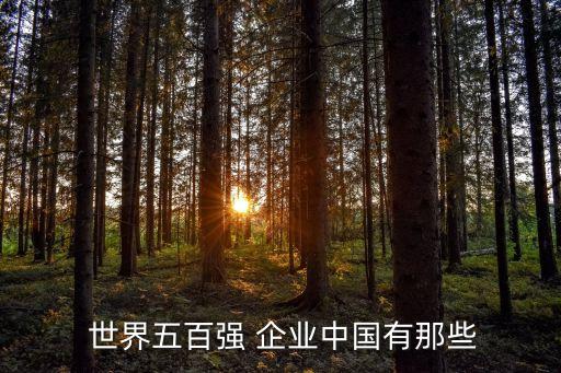 中國的世界500強企業,世界企業排名500強