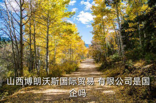 山西博朗沃斯國際貿易 有限公司是國企嗎