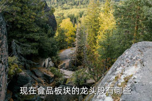 現在食品板塊的龍頭股有哪些
