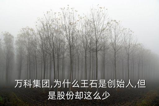  萬科集團,為什么王石是創始人,但是股份卻這么少
