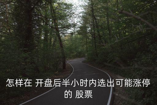 怎樣在 開盤后半小時內選出可能漲停的 股票