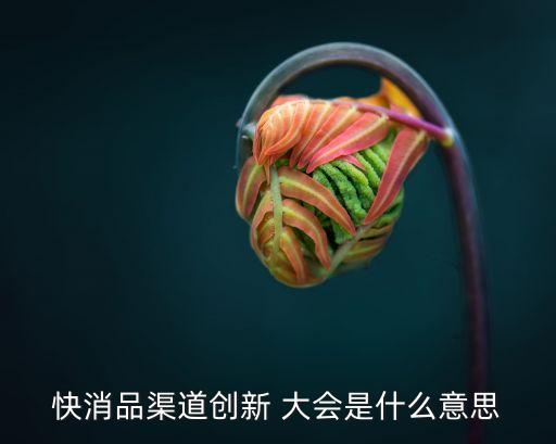 快消品渠道創新 大會是什么意思
