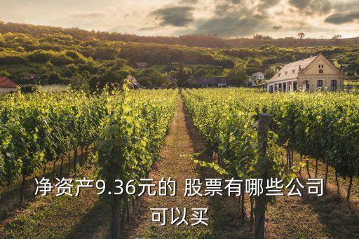 凈資產9.36元的 股票有哪些公司可以買