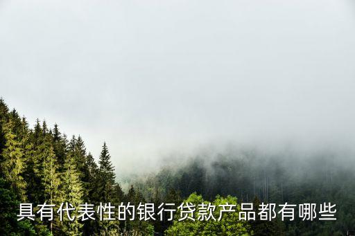 具有代表性的銀行貸款產品都有哪些
