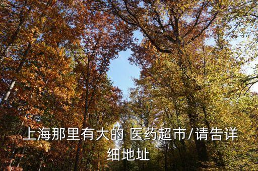  上海那里有大的 醫藥超市/請告詳細地址