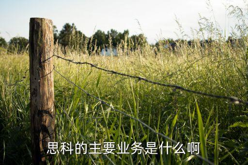思科公司創始人,大連思科公司好不好