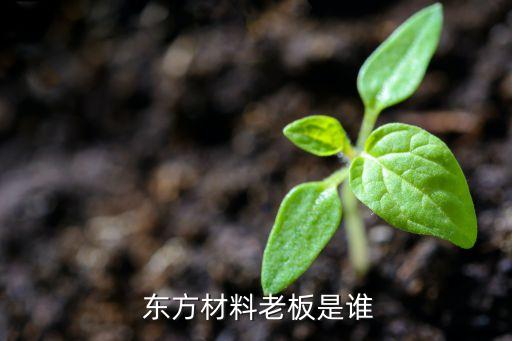東方一馬控股有限公司,東方優品健康食品控股有限公司