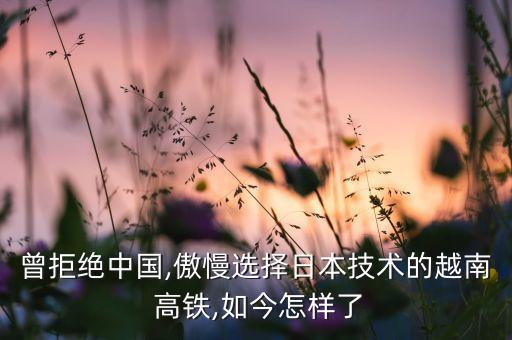 曾拒絕中國,傲慢選擇日本技術的越南 高鐵,如今怎樣了