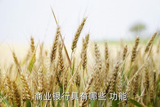  商業銀行具有哪些 功能