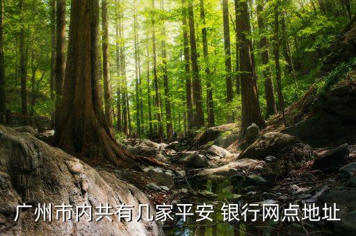 金發科技設立銀行,銀行設立科技支行監管規定