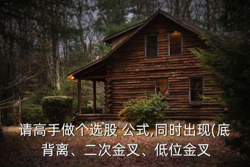 請高手做個選股 公式,同時出現(底 背離、二次金叉、低位金叉