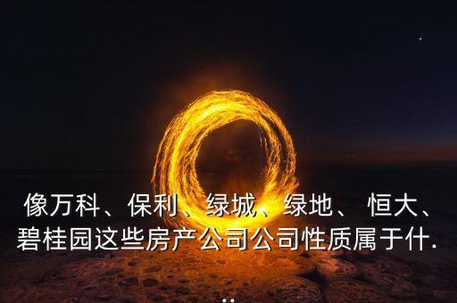 像萬科、保利、綠城、綠地、 恒大、碧桂園這些房產(chǎn)公司公司性質(zhì)屬于什...