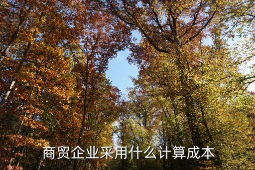  商貿企業采用什么計算成本