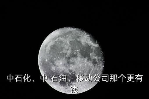 中石化、中 石油、移動公司那個更有錢
