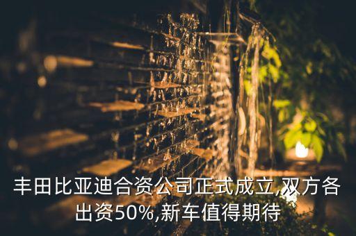 豐用集團法人是誰,商南縣豐聯集團法人