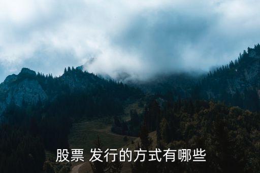 股票網上發行的基本類型有