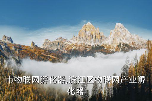 上海市物聯網孵化器,濱江區物聯網產業孵化器