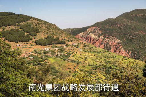  南光集團戰略發展部待遇