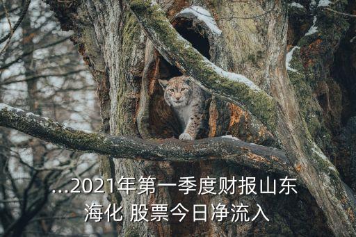 st?；善?海化股票歷史交易數據