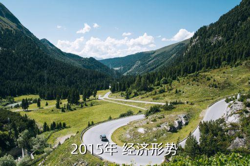 2015年 經濟形勢