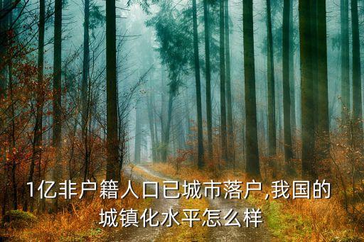 1億非戶籍人口已城市落戶,我國的 城鎮化水平怎么樣