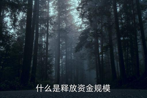 什么是釋放資金規模