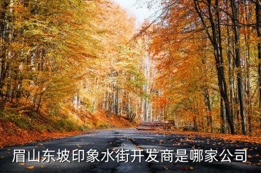 眉山東坡印象水街開發商是哪家公司
