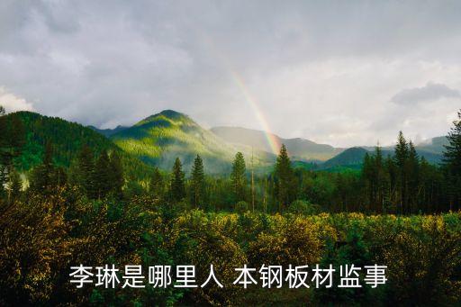 李琳是哪里人 本鋼板材監事