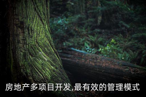 房地產多項目開發,最有效的管理模式