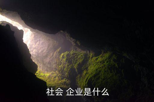  社會 企業是什么