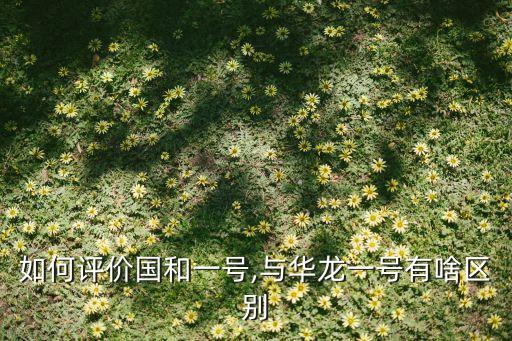 如何評價國和一號,與華龍一號有啥區別