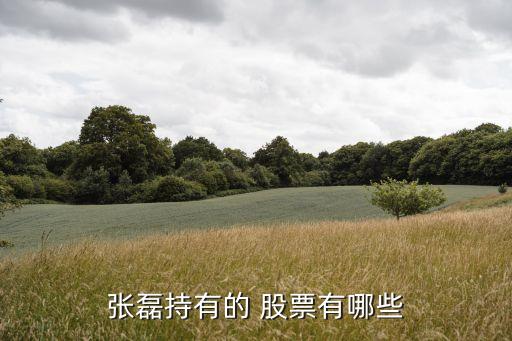 廣聯達股票