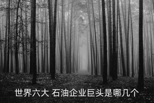 世界六大 石油企業巨頭是哪幾個