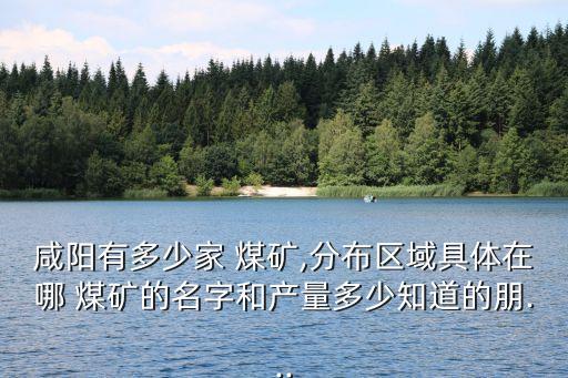 咸陽有多少家 煤礦,分布區域具體在哪 煤礦的名字和產量多少知道的朋...