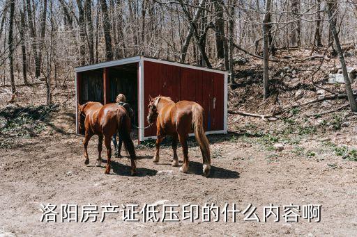  洛陽房產證低壓印的什么內容啊