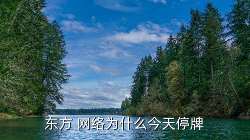 東方 網絡為什么今天停牌