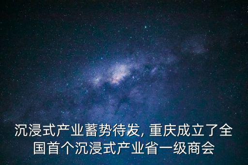 沉浸式產業蓄勢待發, 重慶成立了全國首個沉浸式產業省一級商會