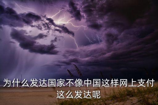 為什么發達國家不像中國這樣網上支付這么發達呢