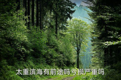 太原重工集團好不好,山西太原汾西重工集團