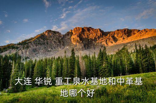 大連華銳重工鑄業有限公司