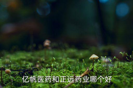  億帆醫藥和正遠藥業哪個好